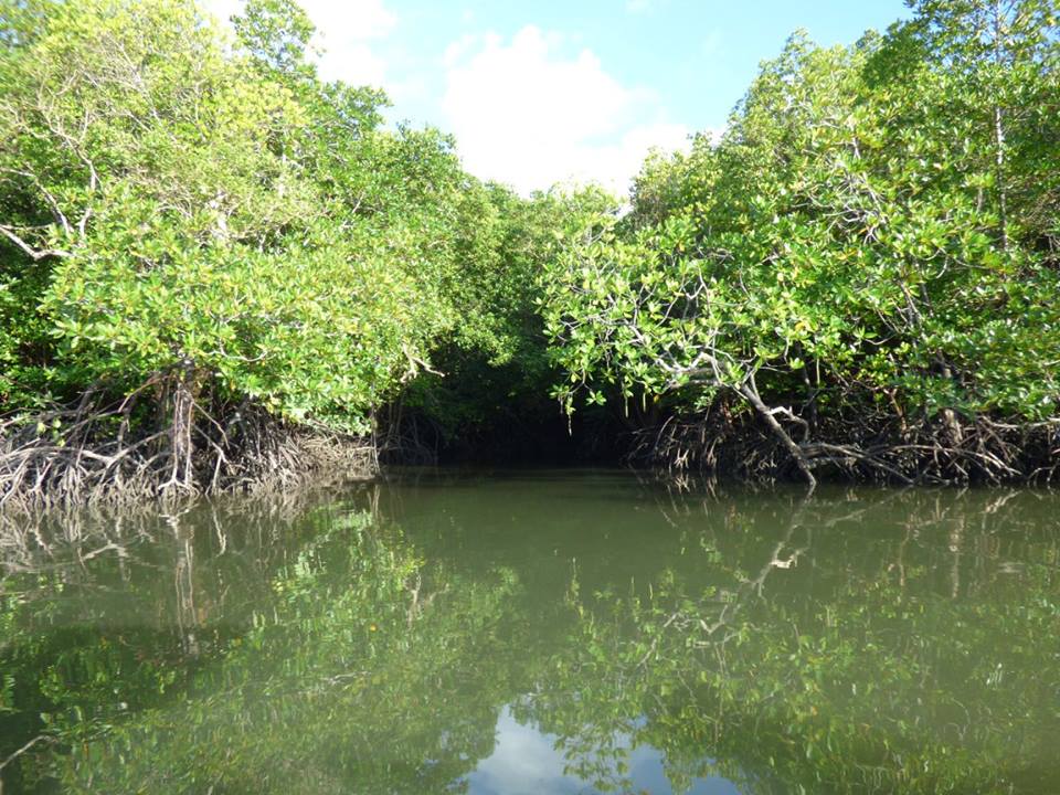 25594374_10215493826723123_3734305699506826913_n