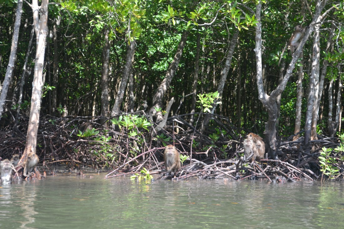 Bubu Is. Tour 7 copy